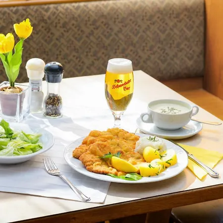 Rupp Pensjonat Enzersdorf an der Fischa